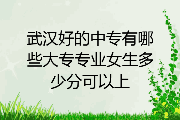 武汉好的中专有哪些大专专业女生多少分可以上