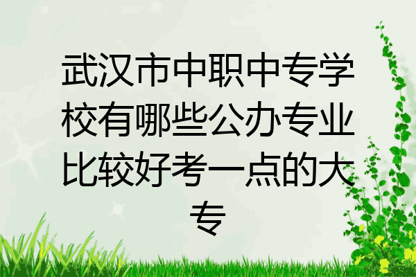 武汉市中职中专学校有哪些公办专业比较好考一点的大专