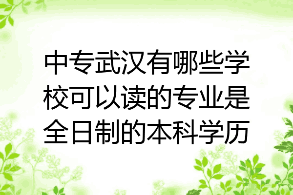 中专武汉有哪些学校可以读的专业是全日制的本科学历