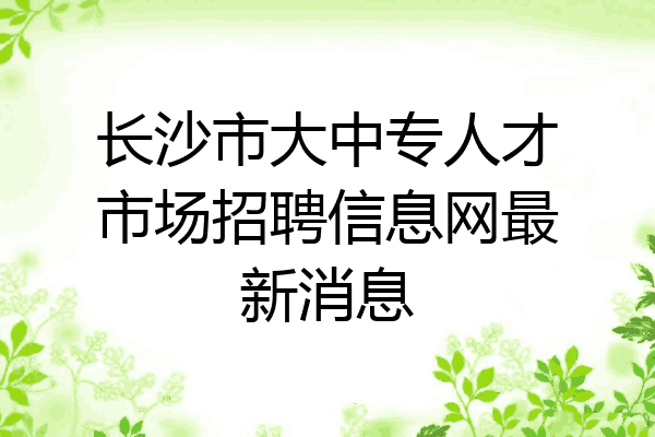 长沙市大中专人才市场招聘信息网最新消息
