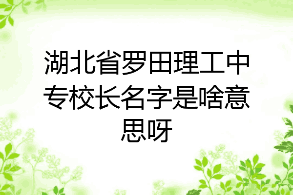 湖北省罗田理工中专校长名字是啥意思呀