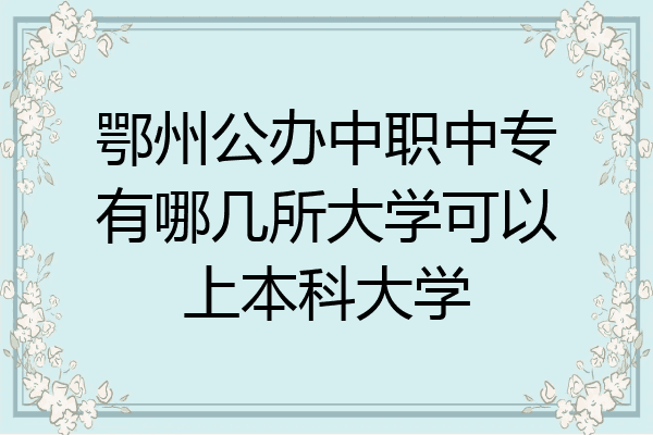 鄂州公办中职中专有哪几所大学可以上本科大学