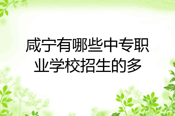 咸宁有哪些中专职业学校招生的多