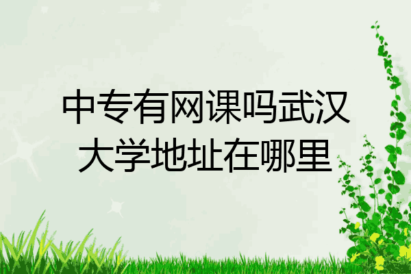 中专有网课吗武汉大学地址在哪里