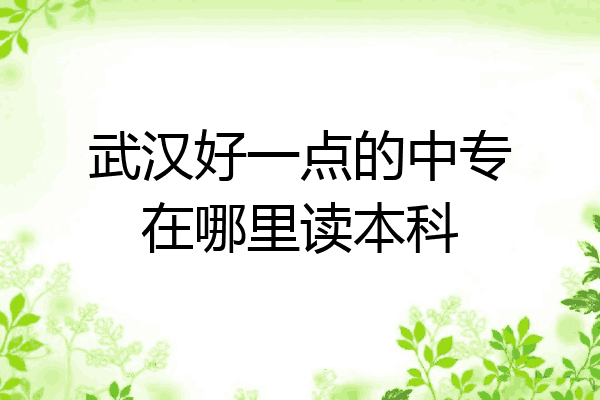 武汉好一点的中专在哪里读本科
