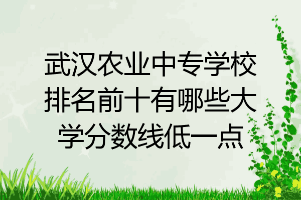 武汉农业中专学校排名前十有哪些大学分数线低一点