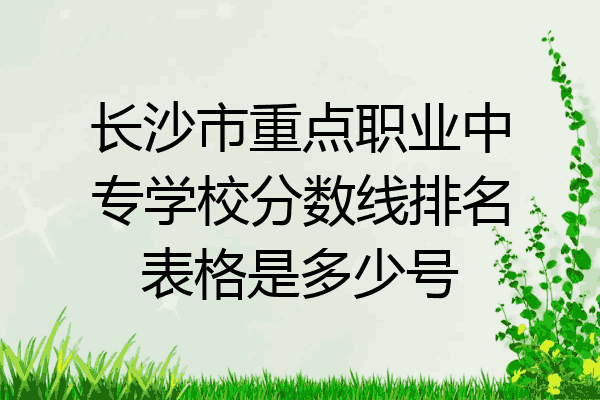长沙市重点职业中专学校分数线排名表格是多少号