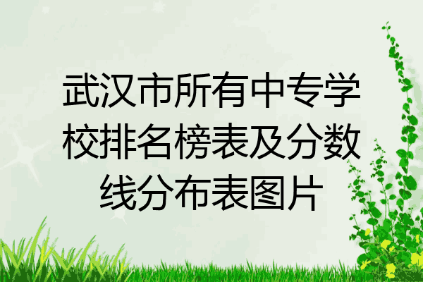 武汉市所有中专学校排名榜表及分数线分布表图片