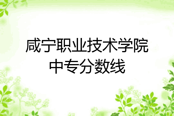 咸宁职业技术学院中专分数线