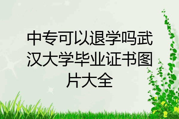 中专可以退学吗武汉大学毕业证书图片大全