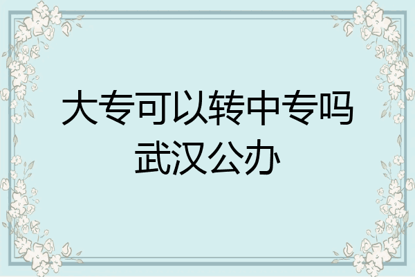 大专可以转中专吗武汉公办