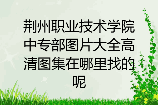 荆州职业技术学院中专部图片大全高清图集在哪里找的呢