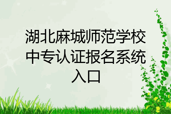 湖北麻城师范学校中专认证报名系统入口