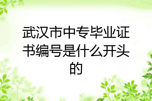 武汉市中专毕业证书编号是什么开头的