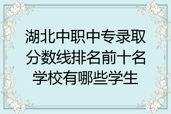 湖北中职中专录取分数线排名前十名学校有哪些学生