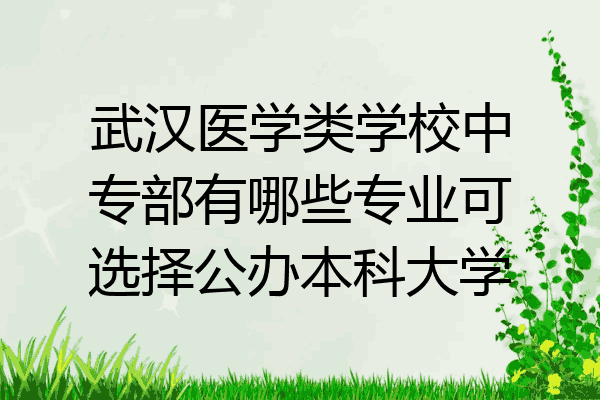武汉医学类学校中专部有哪些专业可选择公办本科大学