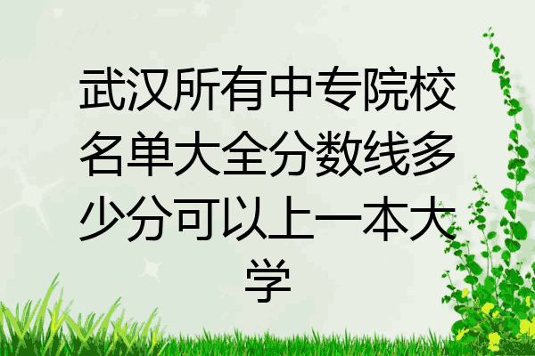 武汉所有中专院校名单大全分数线多少分可以上一本大学