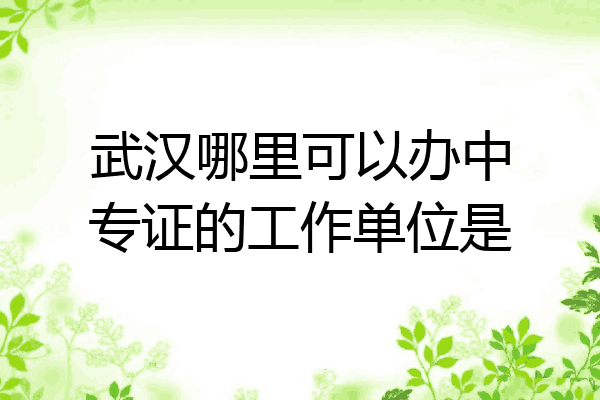 武汉哪里可以办中专证的工作单位是