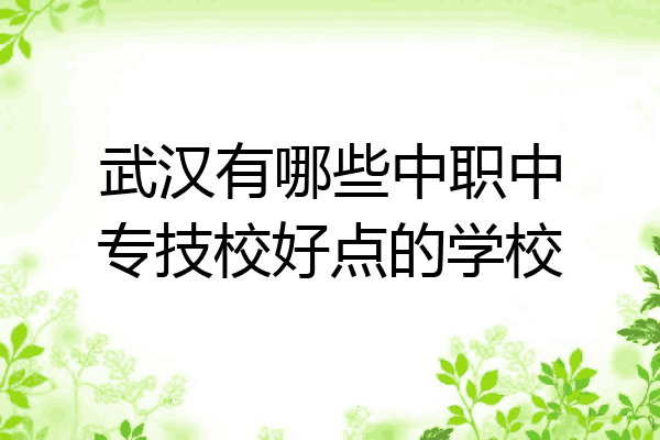 武汉有哪些中职中专技校好点的学校