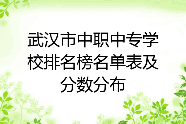 武汉市中职中专学校排名榜名单表及分数分布