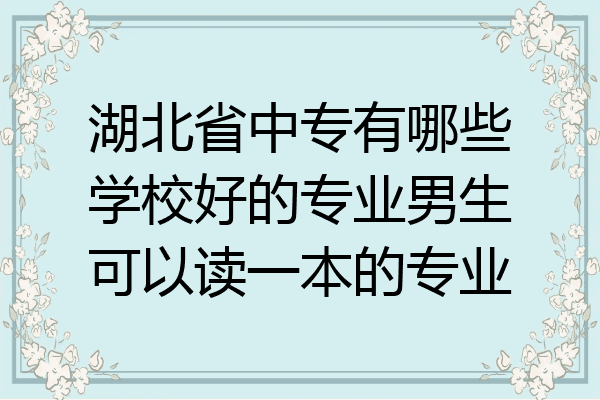 湖北省中专有哪些学校好的专业男生可以读一本的专业
