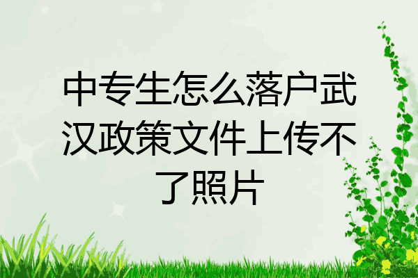 中专生怎么落户武汉政策文件上传不了照片