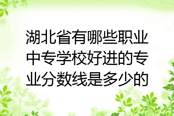 湖北省有哪些职业中专学校好进的专业分数线是多少的