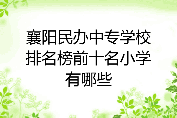 襄阳民办中专学校排名榜前十名小学有哪些