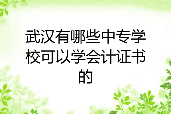 武汉有哪些中专学校可以学会计证书的