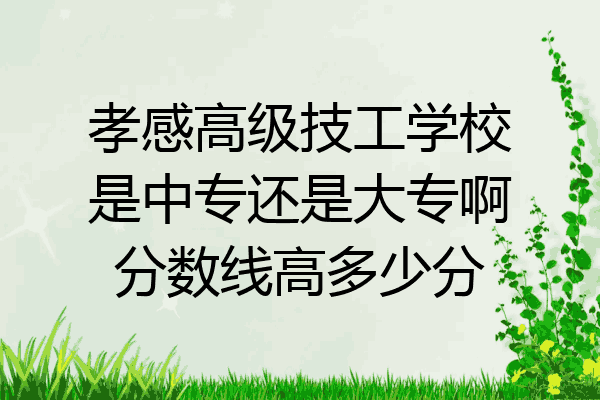 孝感高级技工学校是中专还是大专啊分数线高多少分