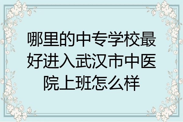 哪里的中专学校最好进入武汉市中医院上班怎么样