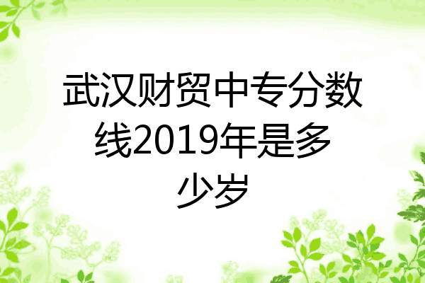 武汉财贸中专分数线2019年是多少岁