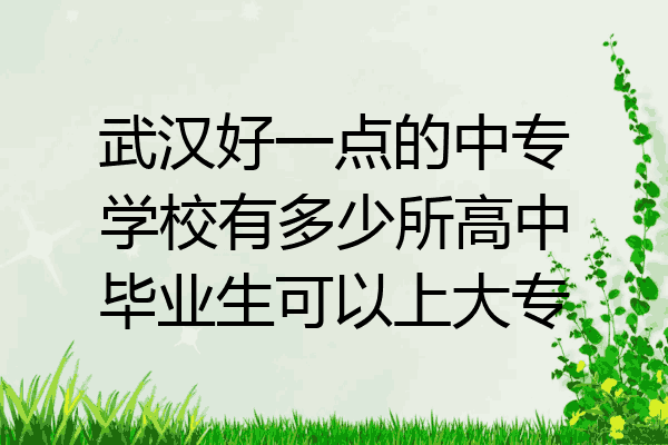 武汉好一点的中专学校有多少所高中毕业生可以上大专