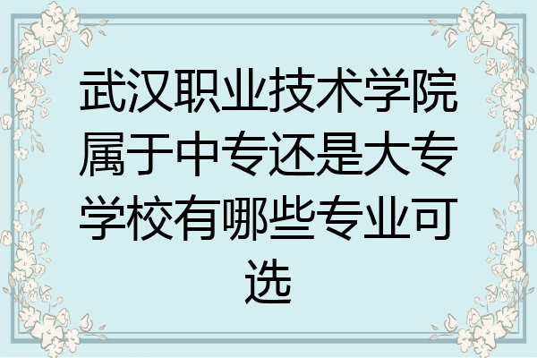 武汉职业技术学院属于中专还是大专学校有哪些专业可选