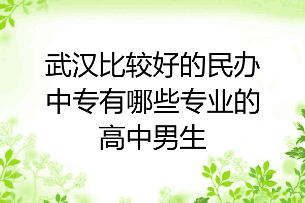 武汉比较好的民办中专有哪些专业的高中男生