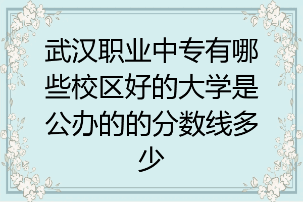 武汉职业中专有哪些校区好的大学是公办的的分数线多少
