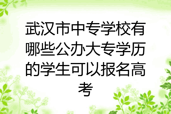 武汉市中专学校有哪些公办大专学历的学生可以报名高考