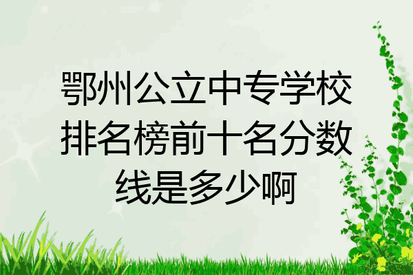 鄂州公立中专学校排名榜前十名分数线是多少啊