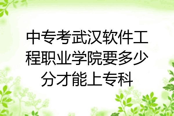 中专考武汉软件工程职业学院要多少分才能上专科