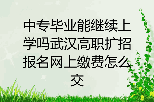 中专毕业能继续上学吗武汉高职扩招报名网上缴费怎么交