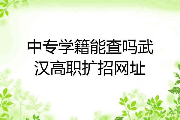 中专学籍能查吗武汉高职扩招网址