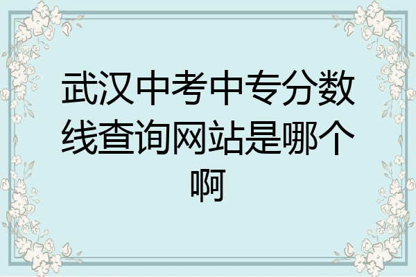 武汉中考中专分数线查询网站是哪个啊