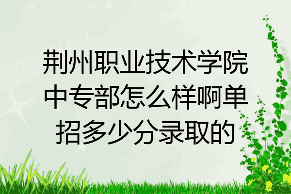 荆州职业技术学院中专部怎么样啊单招多少分录取的