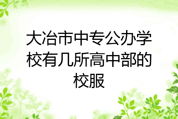 大冶市中专公办学校有几所高中部的校服