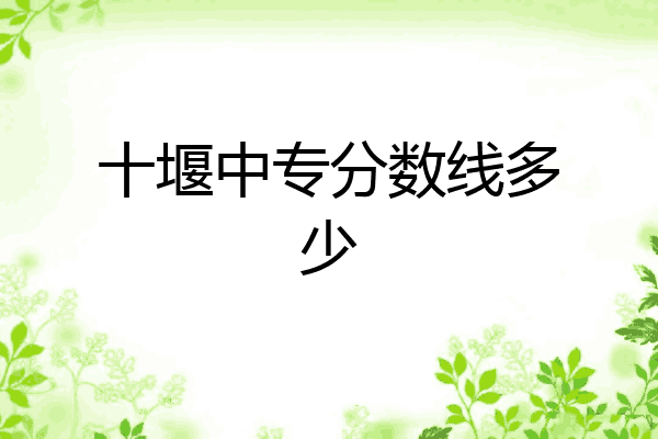 十堰中专分数线多少