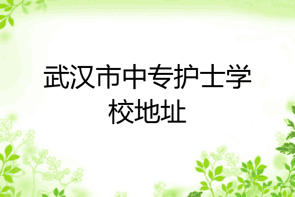 武汉市中专护士学校地址