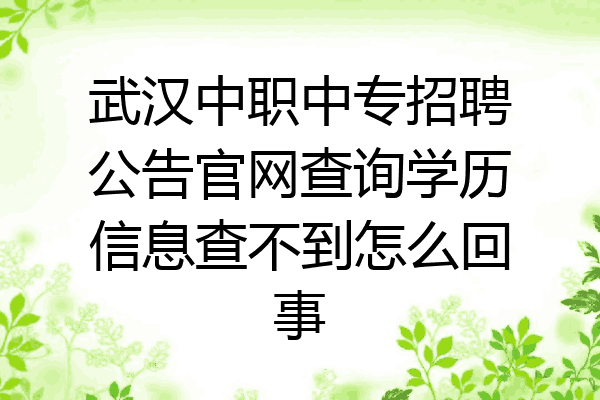 武汉中职中专招聘公告官网查询学历信息查不到怎么回事