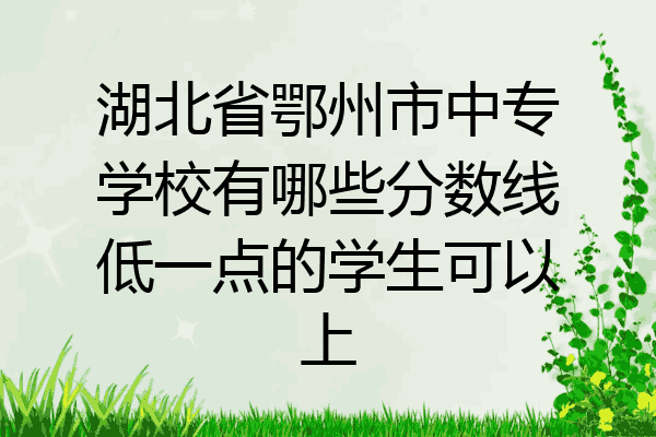 湖北省鄂州市中专学校有哪些分数线低一点的学生可以上