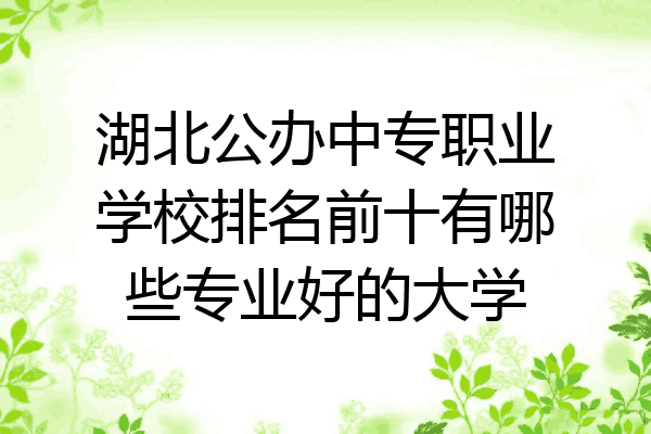 湖北公办中专职业学校排名前十有哪些专业好的大学