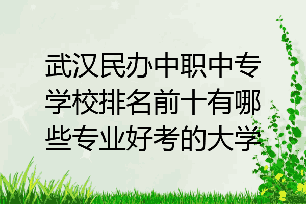 武汉民办中职中专学校排名前十有哪些专业好考的大学